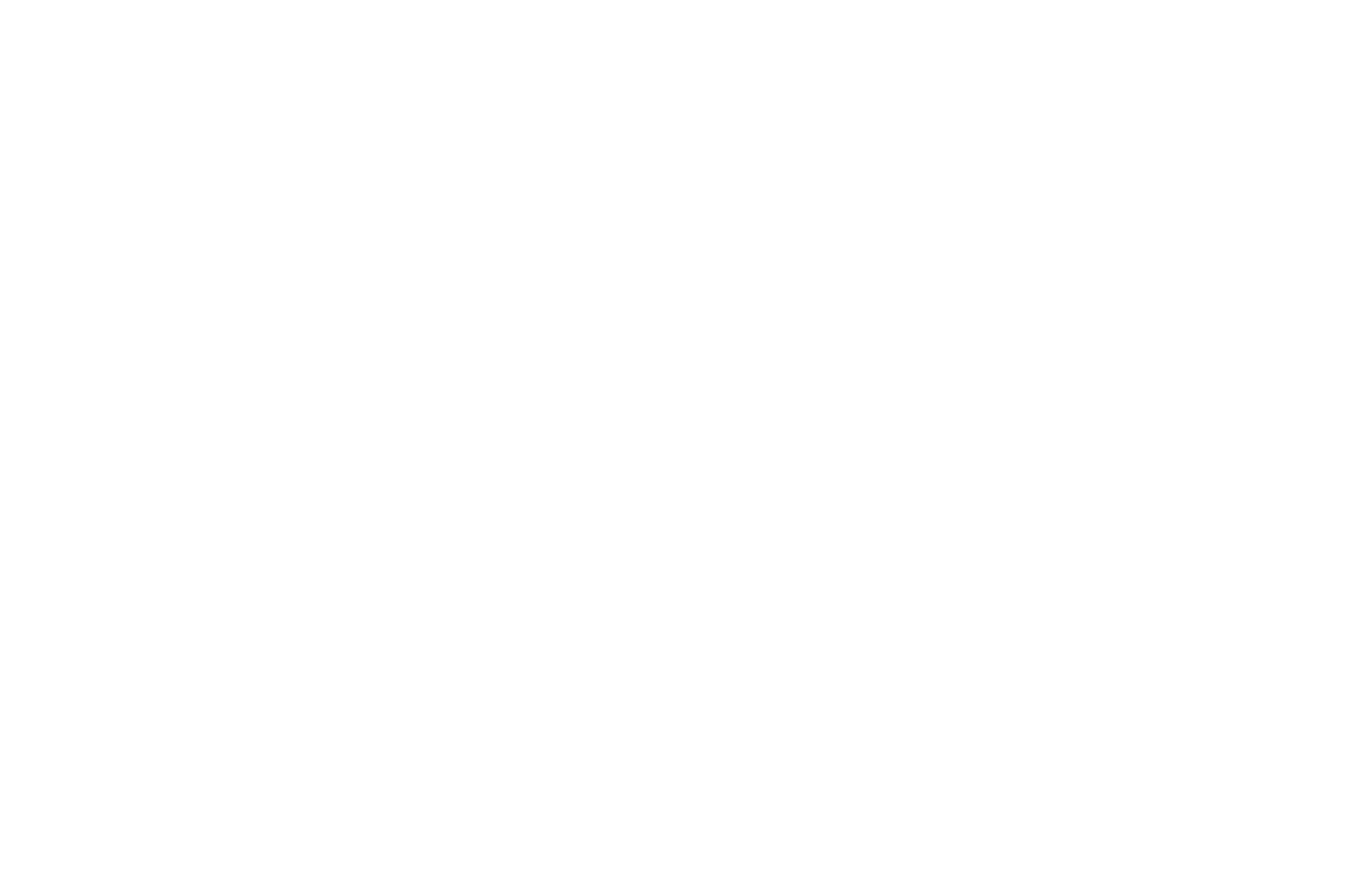 Brevo-2